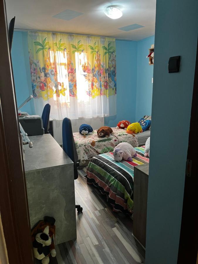 Apartament Maria 1 伯伊莱海尔库拉内 外观 照片